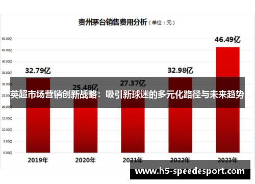 英超市场营销创新战略：吸引新球迷的多元化路径与未来趋势