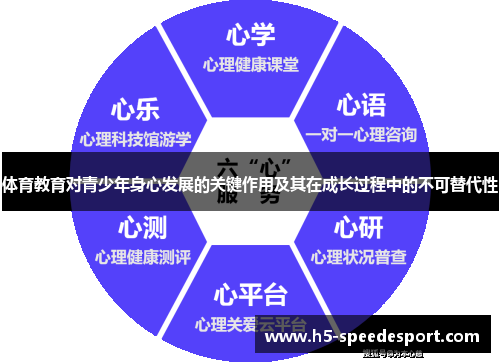 体育教育对青少年身心发展的关键作用及其在成长过程中的不可替代性