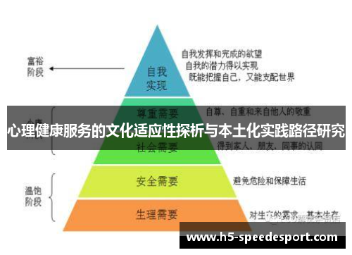 心理健康服务的文化适应性探析与本土化实践路径研究