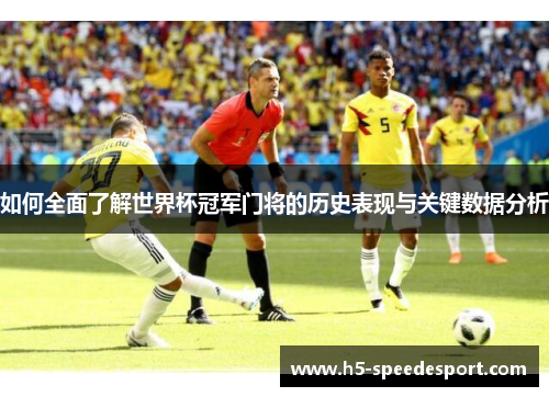 如何全面了解世界杯冠军门将的历史表现与关键数据分析